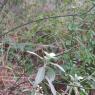 IMG_20221121_102032