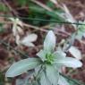 IMG_20221121_102041