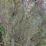 IMG_20221121_102926